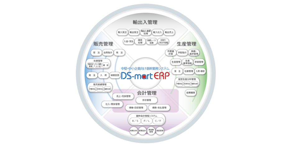 DS-mart ERP